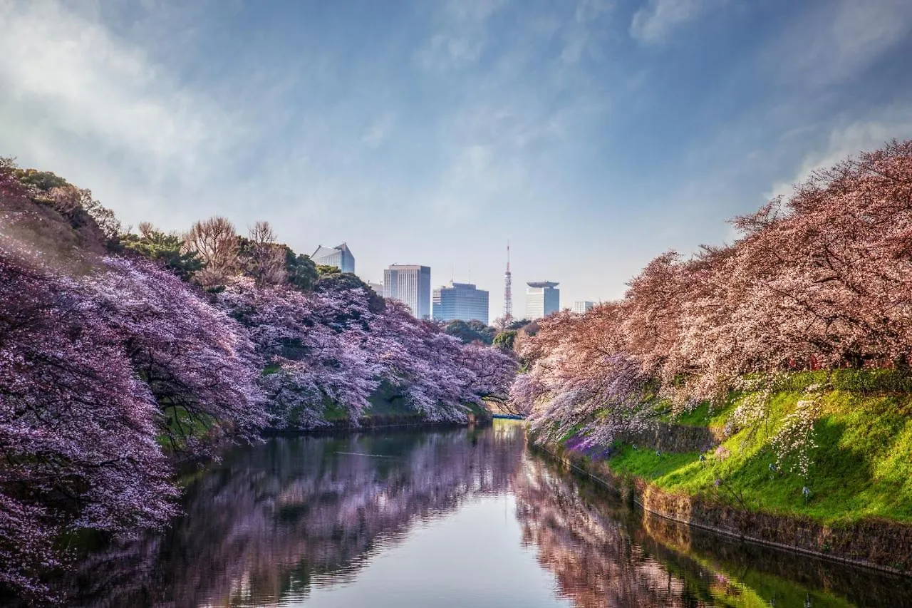 Four Seasons Hotel Tokyo At Otemachi 5*,  Japón
